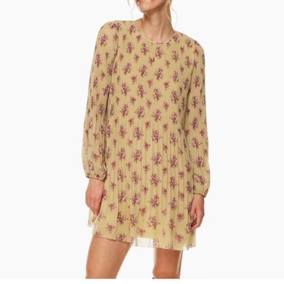 Wilfred Dresses & Skirts - Wilfred Aritzia Daydreamer Mini Dress